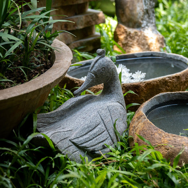 Granite Duck