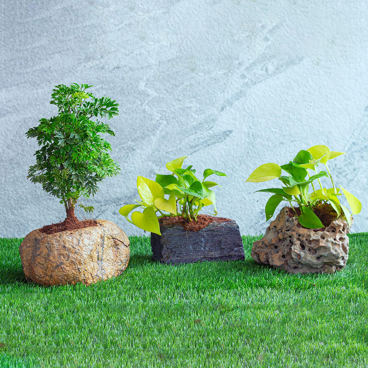 Slate Planter - paarkhi