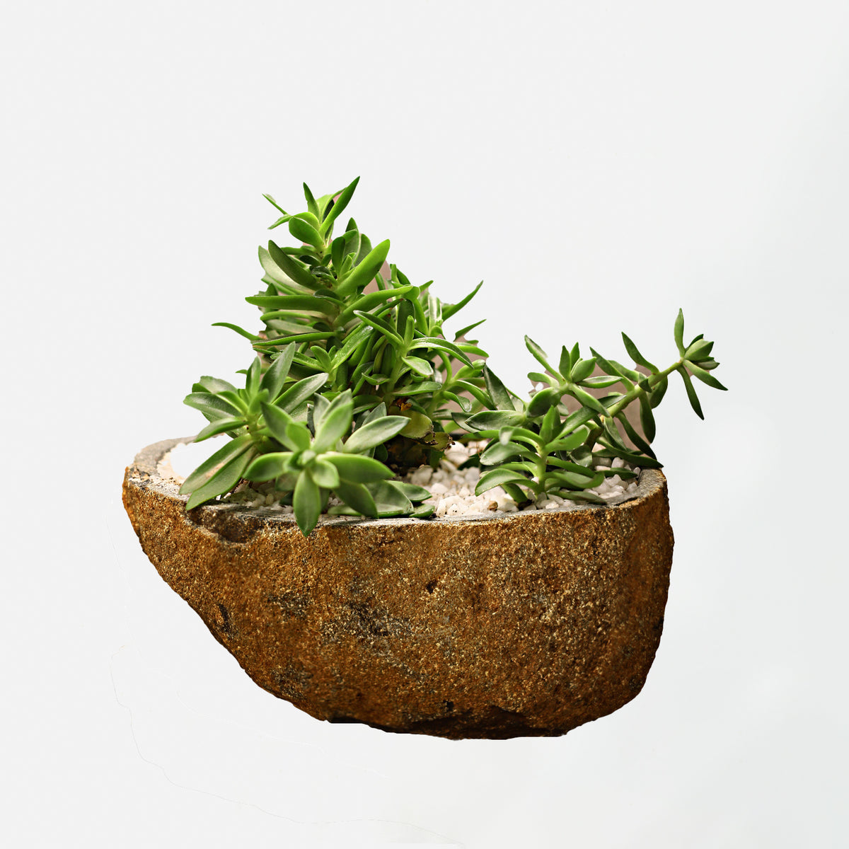 Boulder Planter