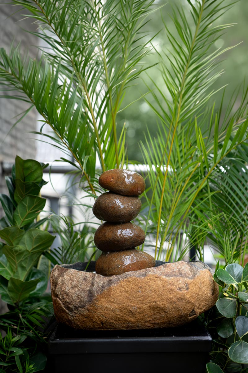 Zen Garden