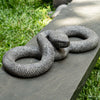 Kaa