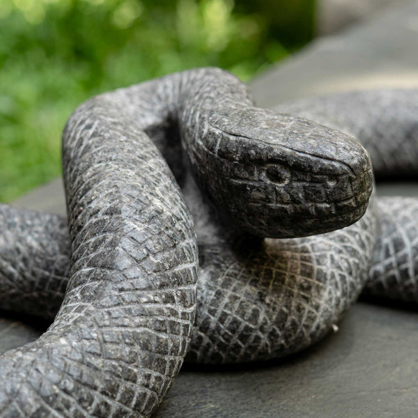 Kaa