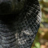 King Cobra