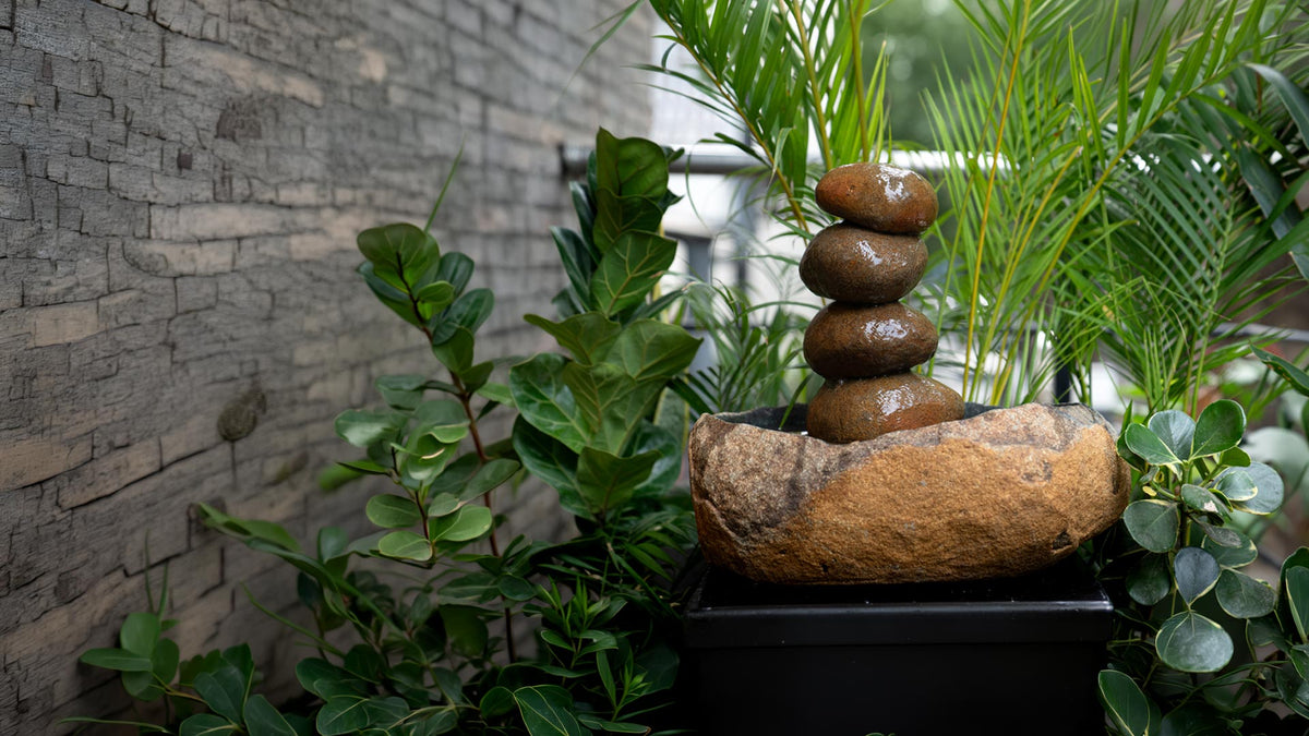 Zen Garden