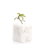 Semi Precious Planter - White